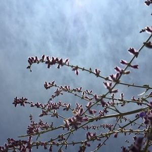 Meet your Posher, Claire